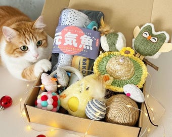 Interactieve geschenkdoos kattenspeelgoed: met munt doordrenkt speelgoed en zonnebloemhoed