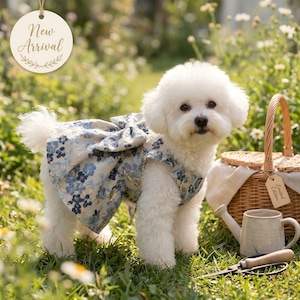 Könnte beinhalten: Ein flauschiger, weißer Hund trägt ein blaues Blumenkleid mit einer großen Schleife. Der Hund steht in einer grasbewachsenen Gegend mit einem Picknickkorb, einer Gießkanne und Gartengeräten. Ein Holzschildchen trägt die Aufschrift "New Arrival".
