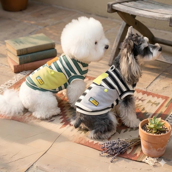 Striped Dog Shirt with D-Ring, Summer Breathable Puppy Harness Tee, Ribbed Knit Pet Clothes, Preppy Small Dog Apparel, Dog Mom Gift