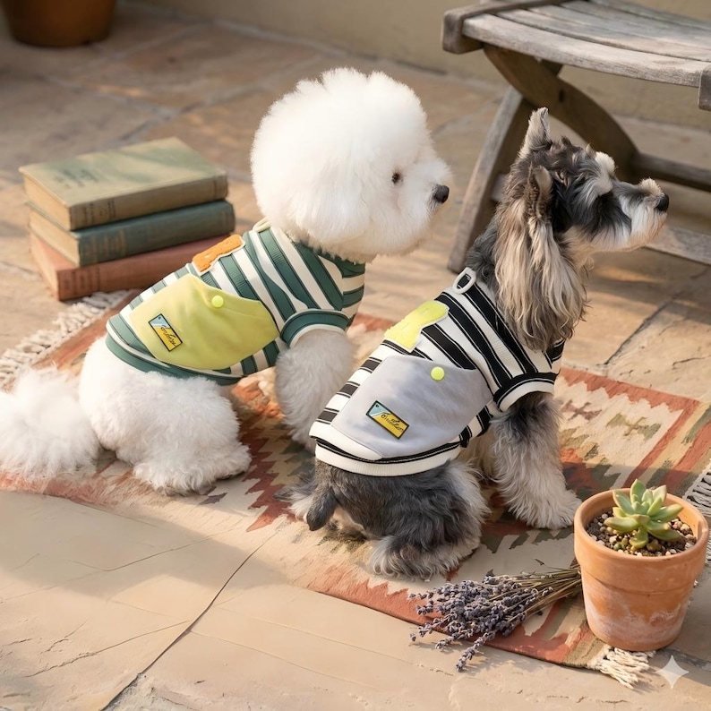 Pu&ograve; includere: Due cani con magliette a righe con dettagli tasca. Una maglietta &egrave; verde e bianca, l'altra &egrave; nera e bianca. Entrambe le magliette hanno un accento giallo sulla tasca. I cani sono seduti su un tappeto fantasia.