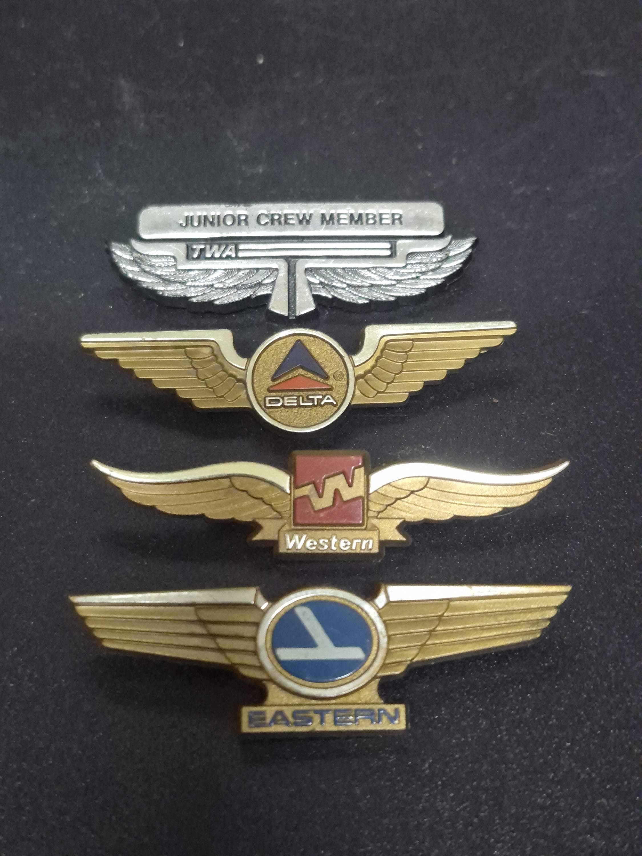 Delta Airlines Wings Pin - Etsy