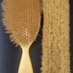 Pu&ograve; includere: Due spazzole per capelli antiche. Una &egrave; ovale con un lungo manico curvo. L'altra &egrave; rettangolare. Entrambe hanno setole marrone chiaro e manici color crema. Le spazzole sono probabilmente realizzate con materiali naturali.