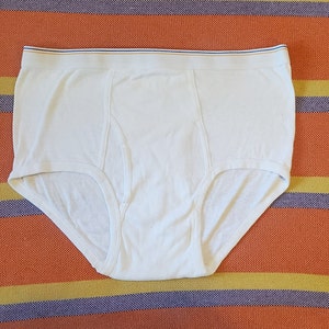 Vintage Fruit Of The Loom Mens Briefs Underwear Made In USA Cotton Size 44