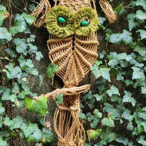 May include: A brown macrame owl wall hanging with green yarn eyes. The owl is hanging on a wall covered in green ivy.