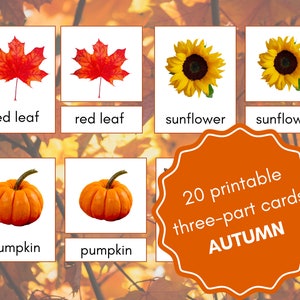 Cartões imprimíveis de três partes Cartões de nomenclatura Outono Natureza Flashcards Outono Montessori Atividade para crianças e pré-K Flashcards