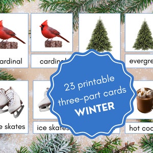 Winter Clothing Poster and 3-part Card Set, 3 Font Options 