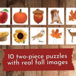 May include: Ten two-piece puzzles featuring real fall images. The images include a red apple, an orange pumpkin, a brown acorn, a red squirrel, a brown deer, a yellow sunflower, a brown basket of corn, a brown owl, and two orange maple leaves.