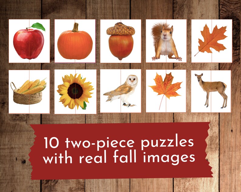 May include: Ten two-piece puzzles featuring real fall images. The images include a red apple, an orange pumpkin, a brown acorn, a red squirrel, a brown deer, a yellow sunflower, a brown basket of corn, a brown owl, and two orange maple leaves.