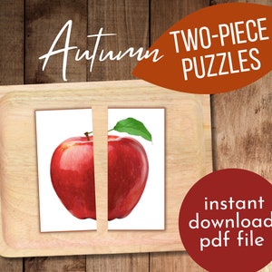 Printable Montessori Puzzle Autumn Real Images Two-Piece Puzzle Fall Unit Study Printable Fall Learning Activity PreK  Kindergarten