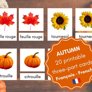 Cartes d'automne imprimables en trois parties Cartes de nomenclature FRANÇAIS Activité Montessori d'automne en français pour les tout-petits et les cartes mémoire pré-maternelle francophone