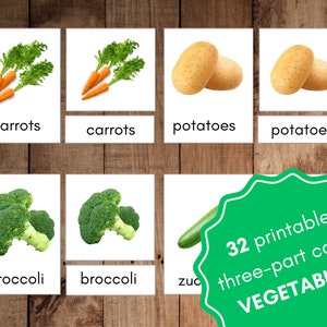 Printable Three-Part Cards Vegetable Real Pictures Nomenclature Cards Flashcards Montessori Activity for Toddlers Pre-K Vegetable Flashcards