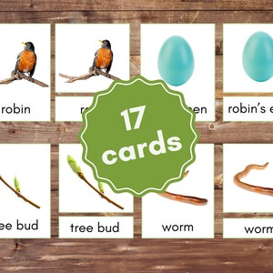 Spring Montessori Three-Part Cards Printable Spring Nomenclature Cards Real Pictures Spring Flashcards Montessori Spring Activity  Toddlers