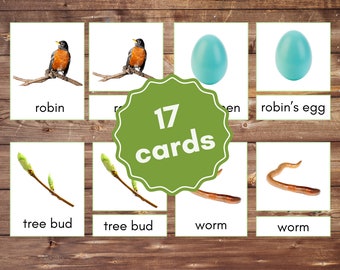 Spring Montessori Cards: Real Picture Nomenclature Cards (PDF Printable)