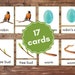 Spring Montessori Three-part Cards Printable Spring Nomenclature Cards ...