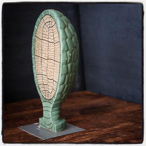 Modèle d'enseignement de la biologie vintage - Coupe transversale d'une cellule végétale - Carte éducative du milieu du siècle