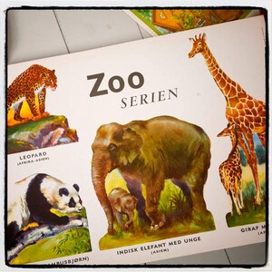 Rara impressão colecionável vintage "Zoo Series", lindamente ilustrada, impressa em papelão grosso