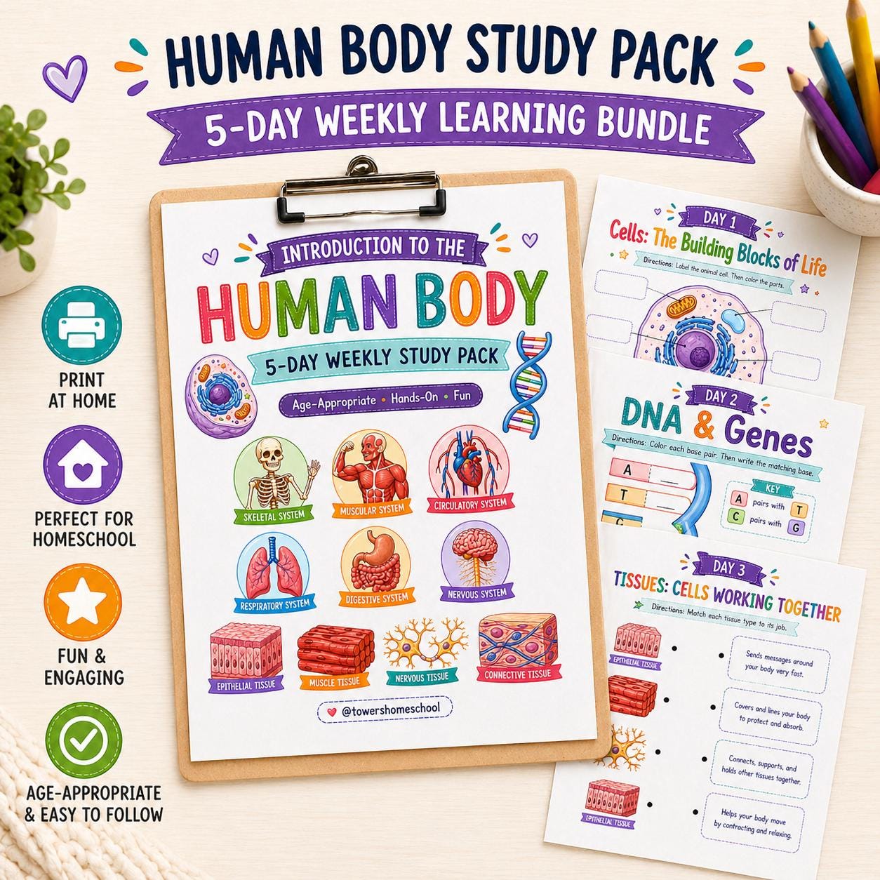 Human Body Science Unit Study Pack | Cells, DNA, Organs (digital ...