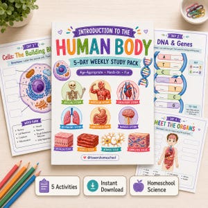 May include: A homeschool science study pack titled "Introduction to the Human Body." The cover features colorful illustrations of body systems and organs. Includes 5 activities and instant download.