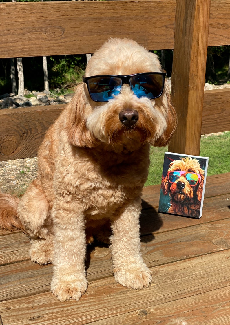 Goldendoodle Wearing Sunglasses Wall Art Tropical Canvas Etsy