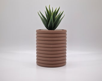 Indoor Succulent Planter With Hidden Drip Tray – The Poppy