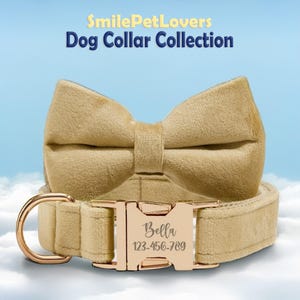 Velvet Dog Collar Bow Set,Handmade Dog Collar and Leash,Personalized Puppy Collar,Dog Lover Gift,Custom Dog Harness Leash Set with Bowtie