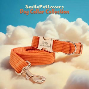 Custom Dog Collar Leash Set,Personalized Puppy Collar with Engraved Name,Wedding Dog Collar,Orange Corduroy Dog Collar Harness and Leash Set