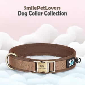 Collier pour chien personnalisé avec boucle en métal gravée - Collier pour chien rembourré et réglable, solide et imperméable pour petits, moyens et grands chiens