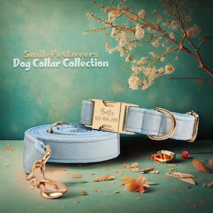 Personalisiertes Hundehalsband mit Namen - ein perfektes Geschenk für Ihren Freund