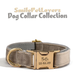 Collare per cani personalizzato - Collare personalizzato, imbracatura regolabile, guinzaglio, fiore, papillon e porta sacchetti per escrementi per regalo per cani, collare per cani inciso