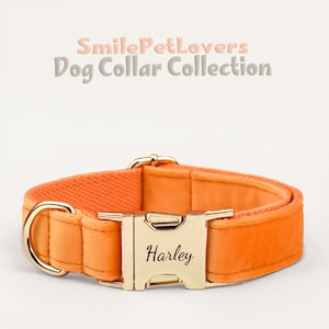 Collar de perro personalizado: incluye collar grabado, pajarita, flor de collar y correa para amantes de los perros, collar para cachorros, lazo de collar personalizado