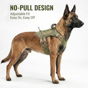 Pode incluir: Um cão castanho e preto usando uma coleira tática verde-oliva. A coleira tem tiras e fivelas ajustáveis. O texto na imagem diz "NO-PULL DESIGN, Ajuste ajustável, Fácil de colocar, Fácil de tirar."