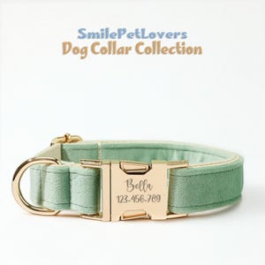Elegant Dog Leash Set – Green Rope Lead,Adjustable Collar & Waste Bag Holder with Gold Hardware for Chic Dog Lover Gift,Engraved Dog Collar