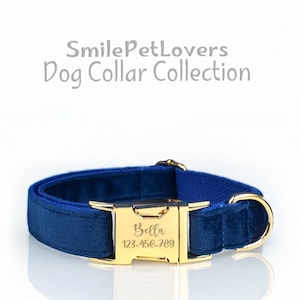 Hundehalsband personalisiert | Gold-Hardwares | Weich und luxuriös | Collar Leine Set, verstellbares Design mit individuell gravierter Schnalle
