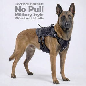 Pode incluir: Um cão castanho e preto usando uma coleira tática preta. A coleira tem várias tiras, fivelas e uma alça. O texto na imagem diz "Tactical Harness No Pull Military Style K9 Vest with Handle."
