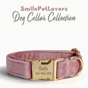 Collare per cani personalizzato - Design inciso personalizzato con dettagli dorati, fiocco per collare per cani come regalo per gli amanti dei cani, collare per cani viola, collare per cani in velluto