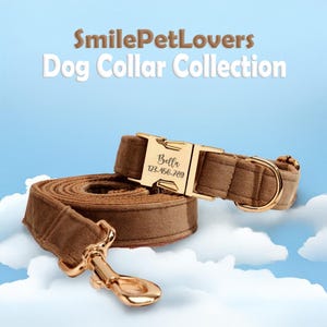 Juego de collar y correa para perro, collar personalizado, juego de collar y correa con arnés para perro, collar de diseño para perro, regalo para amantes de los perros, collar con nombre