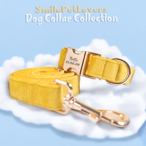 Personalized Dog Collar Leash Set,Adjustable Dog Collar,Engraved Dog Collar,Dog Harness Leash Set,Yellow Velvet Handmade Dog Collar With Bow