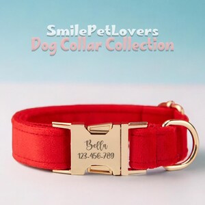 Collar de perro personalizado: grabado personalizado, diseño acolchado suave y hebilla dorada para regalo de perro, pajarita para perro, arnés para perro, correa para perro
