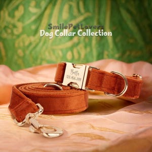 Personalized Dog Collar Leash Set – Featuring Gold Hardware and Custom Engraved Nameplate for Dog Lover Gift,Puppy Collar,Dog Collar Bow