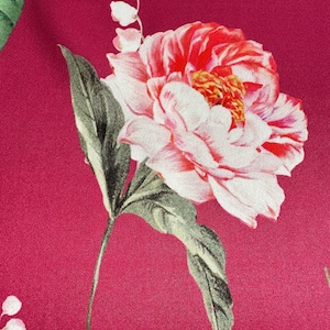 Puede incluir: Primer plano de una flor rosa y blanca con hojas verdes sobre un fondo rosa oscuro. La flor tiene un aspecto delicado y en capas y es un motivo popular en los estampados florales.