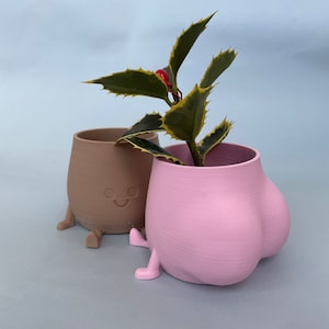 Può includere: Due vasi in ceramica, uno marrone con un viso sorridente e uno rosa con forma arrotondata, entrambi con le gambe. Una pianta verde con foglie gialle è nel vaso rosa.