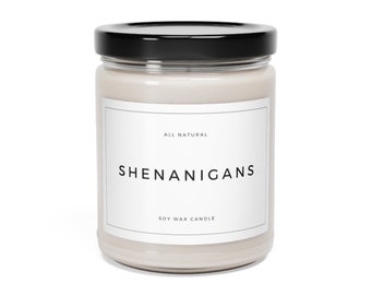 Soy Wax Scented Candle | Funny Candle | Funny Gift | Funny Gift for Friends  | Housewarming Gift | Decorative Candle  | Shenanigans
