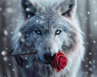 THE ROSE ウソン　WOLF The Rose Kim Woo Sung 