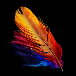 Rainbow Feather Cross Stitch Pattern Instant PDF Download Bird Feather