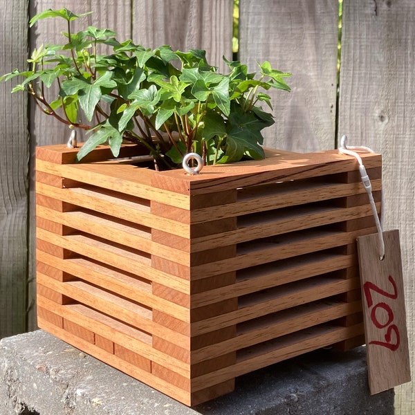 209. Salvaged Spanish Cedar Wood Hanging Basket Planter for Orchids, Bromeliads, Ferns, Cacti, Other Epiphytes and Succulents