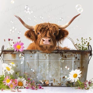 Cuve Highland Cow galvanisé Art numérique PNG téléchargeable. Vache des Highlands écossais dans la baignoire.  Clipart vache Highlander, impression d'art téléchargeable.