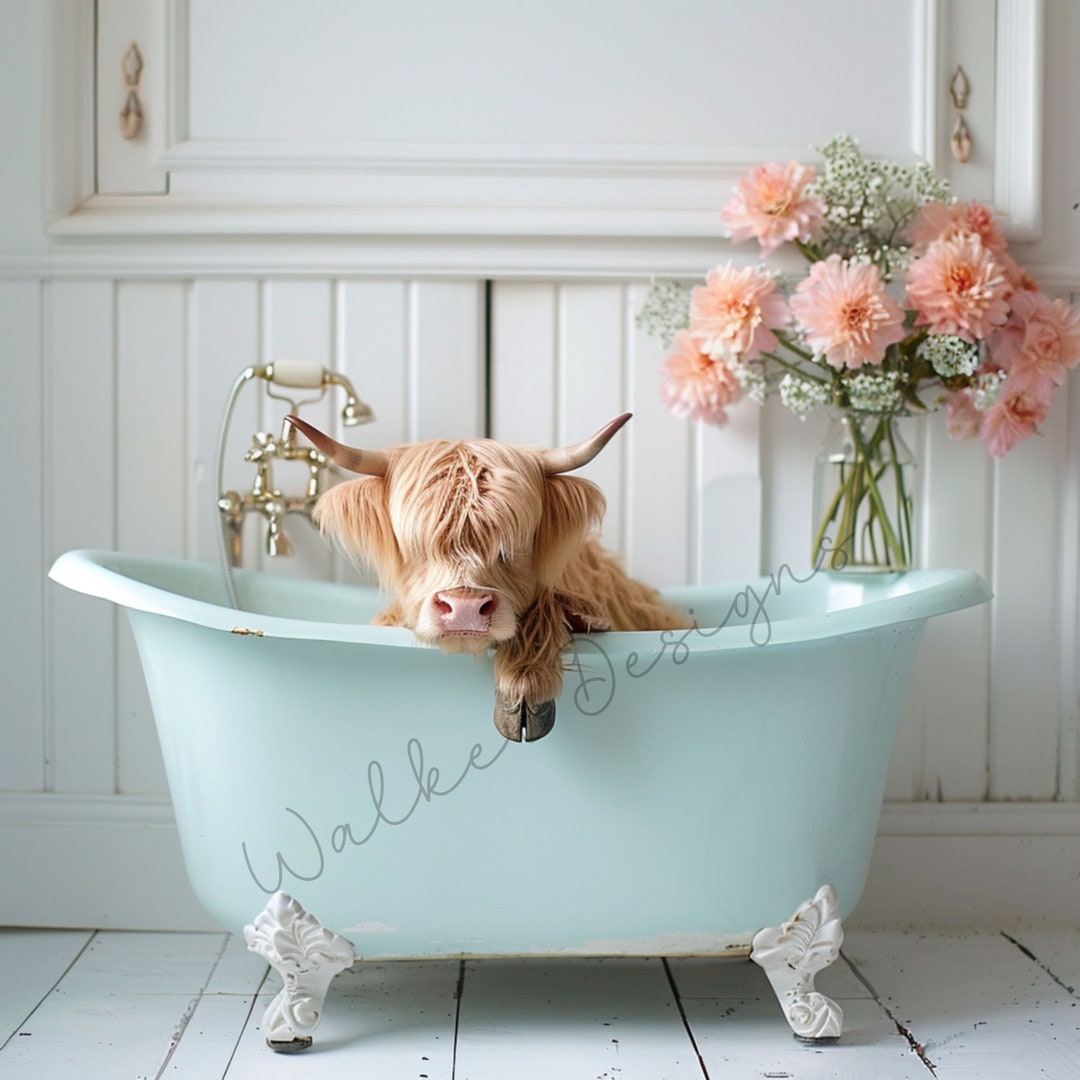 Highland Cow Bathtub Downloadable Digital PNG Art. Scottish Highland ...