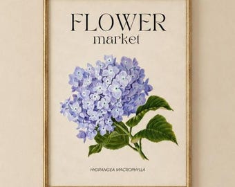 May include: A framed wall art print featuring a botanical illustration of a light purple hydrangea flower. The text FLOWER market is printed in black at the top, and the scientific name HYDRANGEA MACROPHYLLA is printed in black at the bottom.