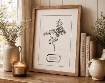 Cranberry Wall Art, Botanical Berry Print, Antique Nature Illustration, Cottagecore Home Decor, Multi Ratio Digital Download