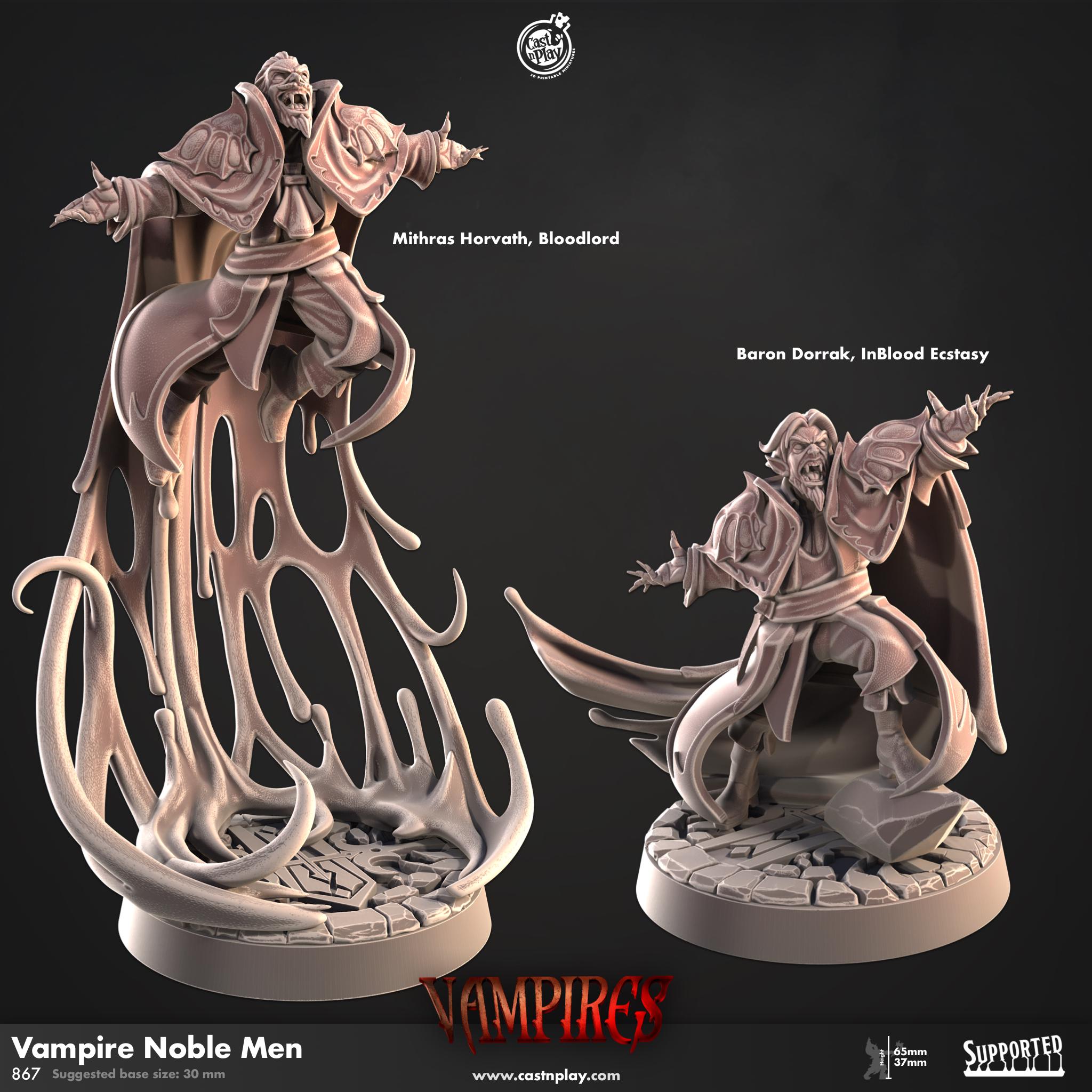 Vampire Noble Men by CastnPlay (No. 867) Vampires, 2 Wargame/Tabletop Miniatures+ Free Bases